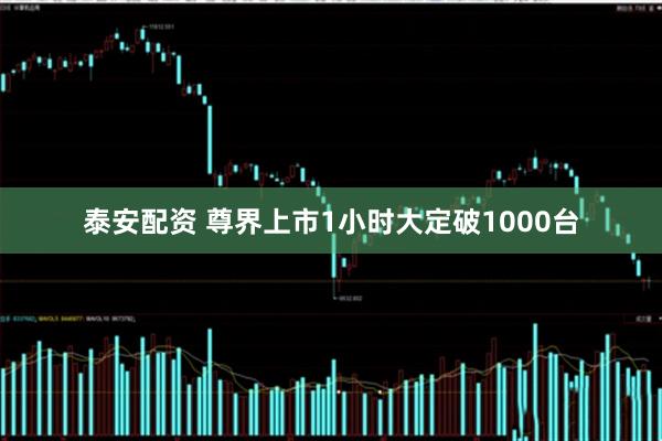泰安配资 尊界上市1小时大定破1000台