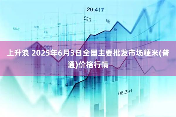 上升浪 2025年6月3日全国主要批发市场粳米(普通)价格行情