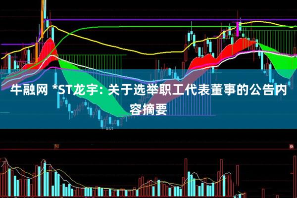 牛融网 *ST龙宇: 关于选举职工代表董事的公告内容摘要