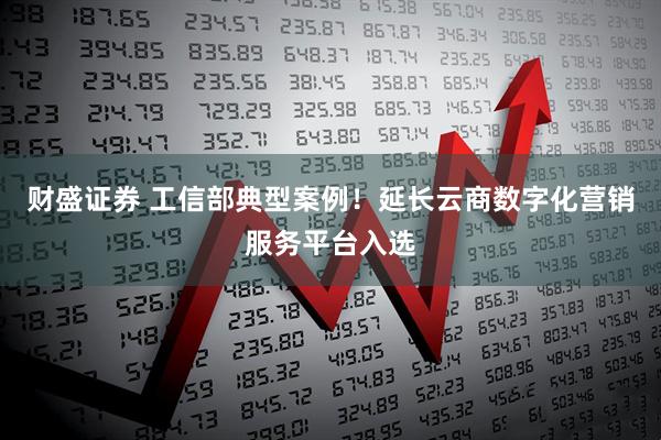 财盛证券 工信部典型案例！延长云商数字化营销服务平台入选