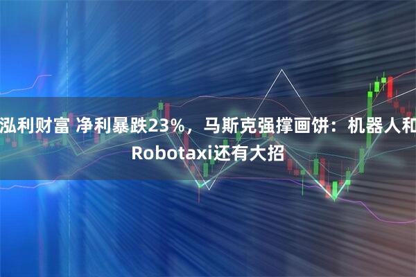 泓利财富 净利暴跌23%，马斯克强撑画饼：机器人和Robotaxi还有大招