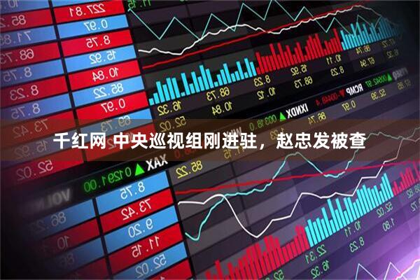 千红网 中央巡视组刚进驻，赵忠发被查