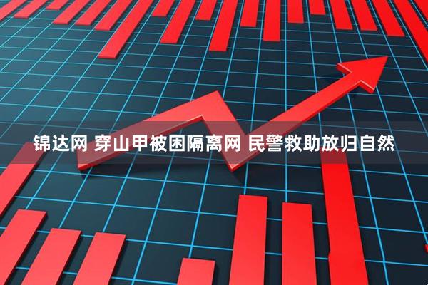 锦达网 穿山甲被困隔离网 民警救助放归自然
