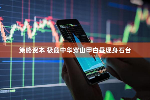 策略资本 极危中华穿山甲白昼现身石台