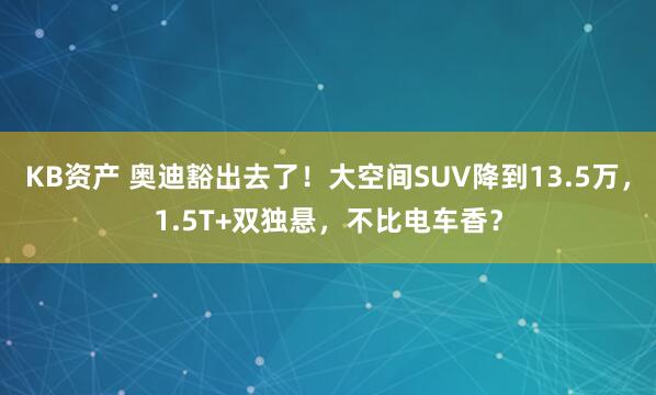 KB资产 奥迪豁出去了！大空间SUV降到13.5万，1.5T+双独悬，不比电车香？